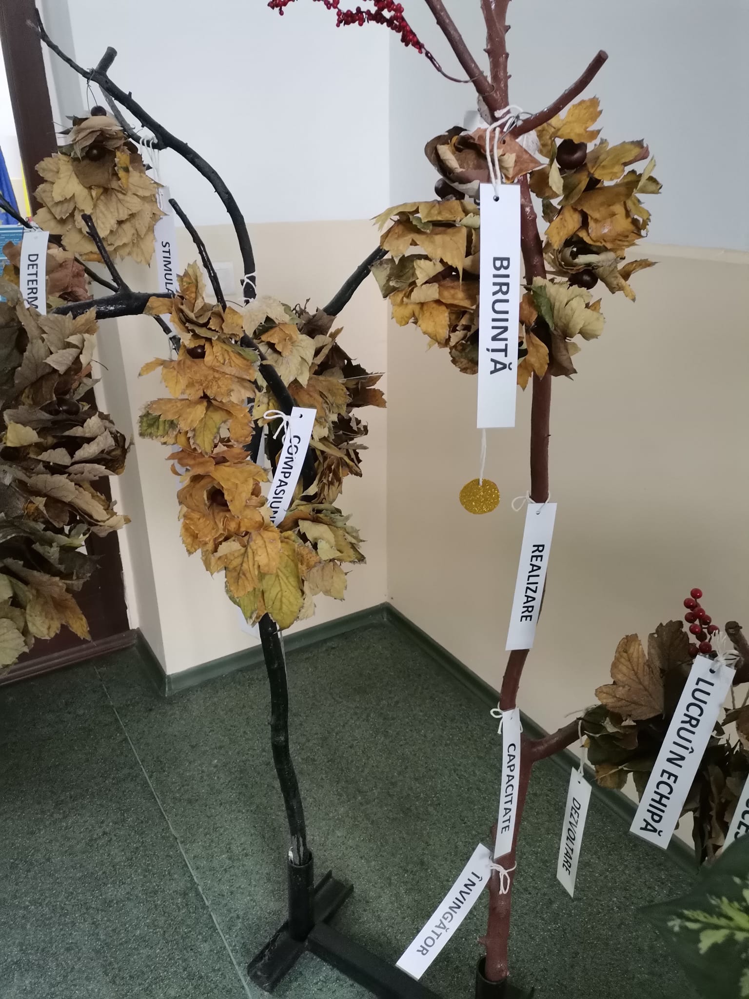 Festivalul Dovleacului