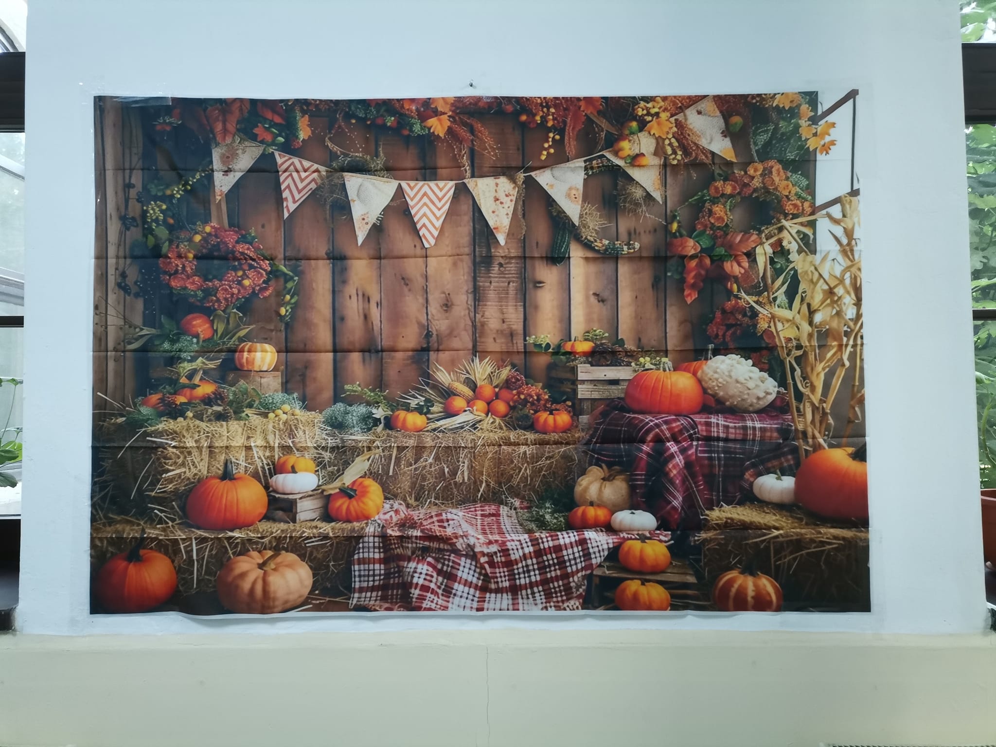 Festivalul Dovleacului